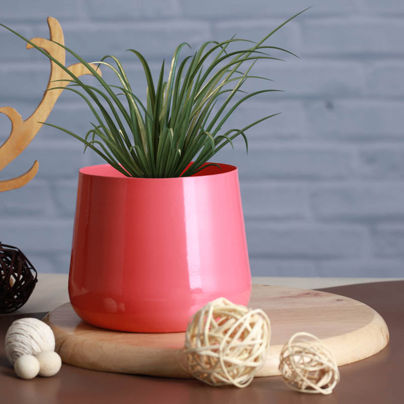 Buy Melva Handcrafted Planter - Pink Pots & Planters from Vaaree