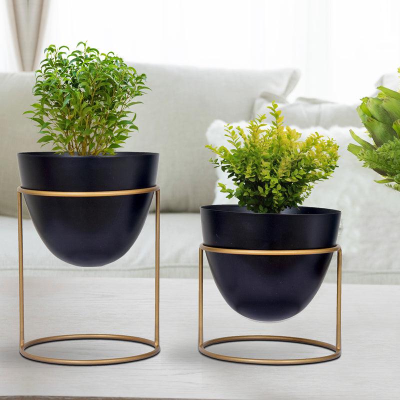 Buy Trudene Metal Pot With Stand (Black & Gold) - Set Of Two Pots & Planters from Vaaree