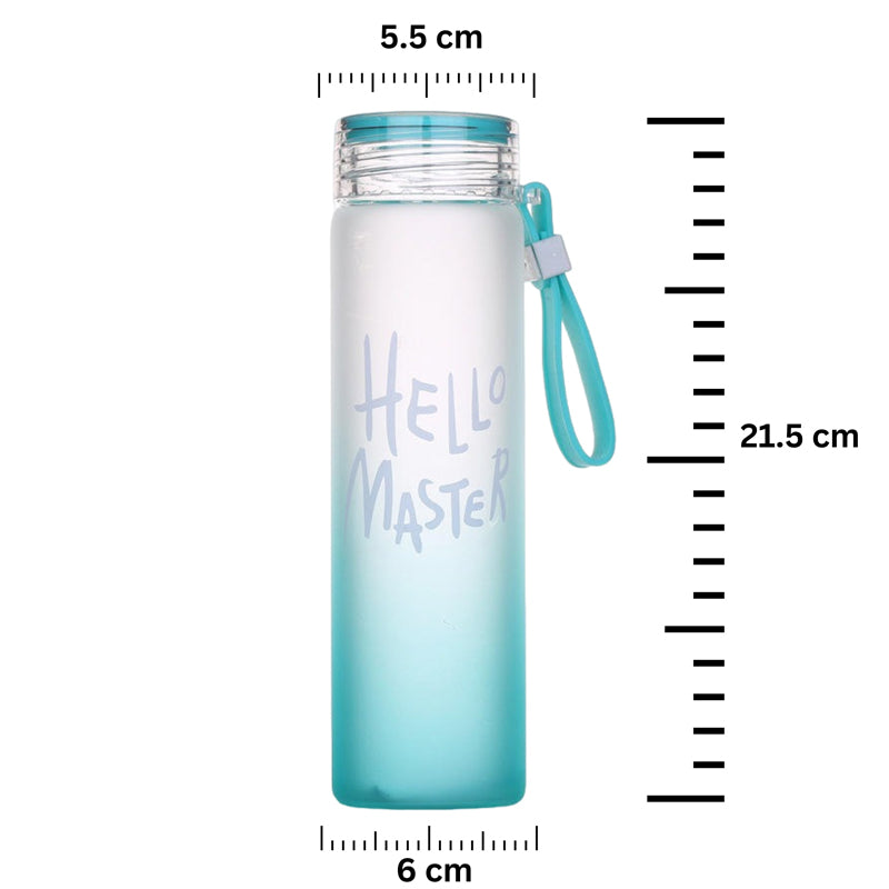 Bottle - Cacti Clan Water Bottle (400 ML) - Blue