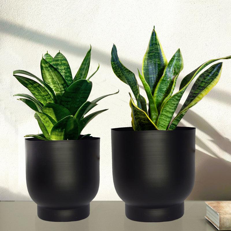 Buy Bromo Metal Planter (Balck) - Set Of Two Pots & Planters from Vaaree