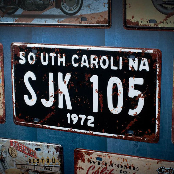 Buy South Carolina Sjk 105 Wall Accent Wall Accents from Vaaree