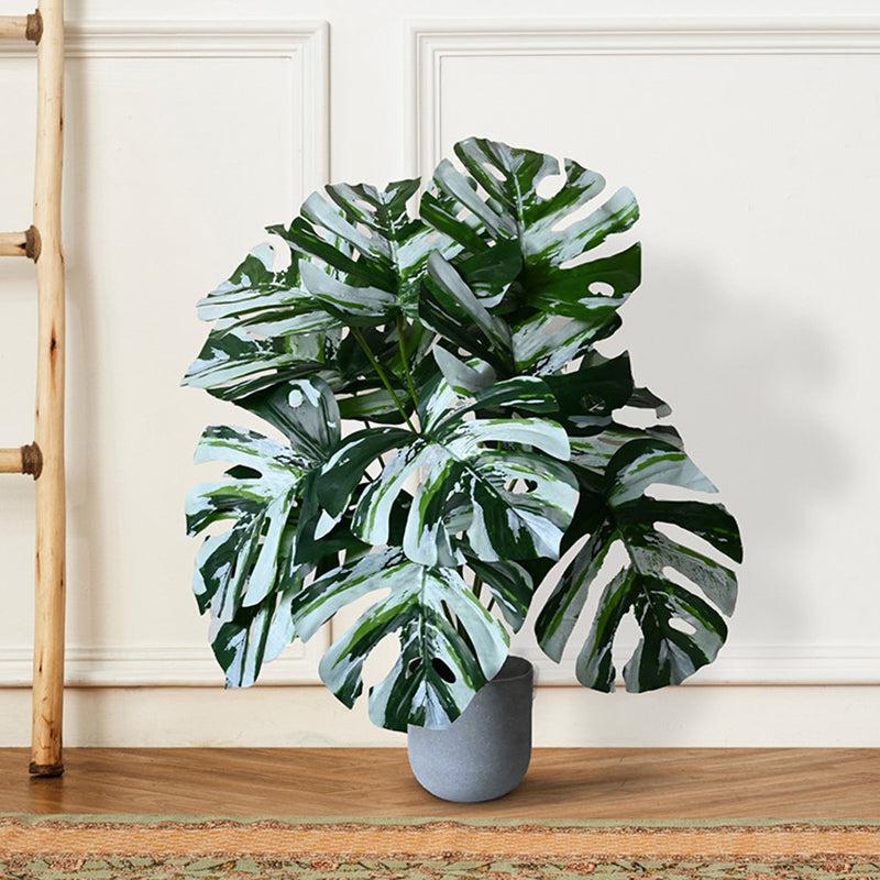 Buy Faux Everlasting Monstera Plant With Pot - 2.0 Feet Artificial Plants from Vaaree