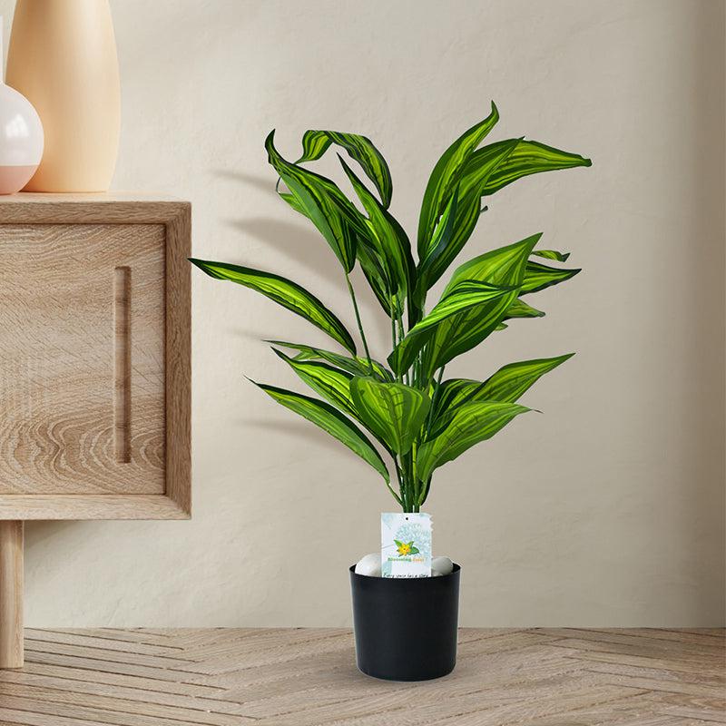 Buy Faux Everlasting Cast-Iron Plant With Pot - 2.4 Feet Artificial Plants from Vaaree