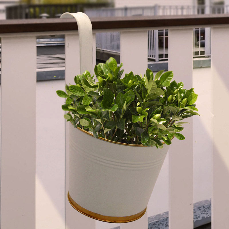 Buy Lush Glow Planter - White Pots & Planters from Vaaree