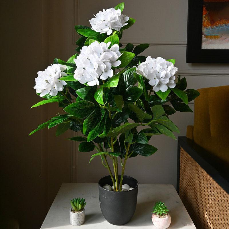 Buy Faux Everlasting Hydrangea Plant With Pot (Pale White) - 2.5 Feet Artificial Plants from Vaaree