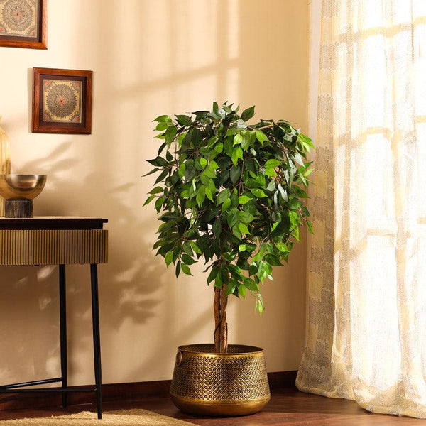 Buy Faux Realistic Ficus Plant With Pot - 4.9 Feet Artificial Plants from Vaaree