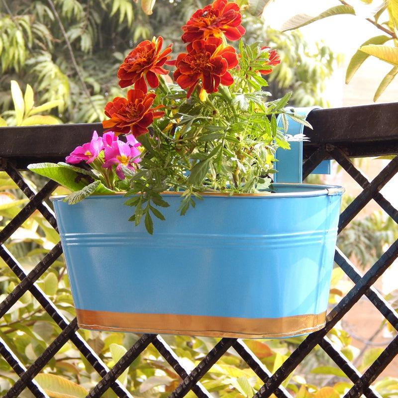 Buy Norva Hanging Planter (Blue) - Set Of Three Pots & Planters from Vaaree