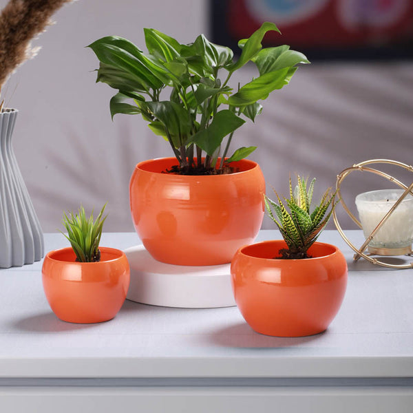 Buy Alisha Handcrafted Planter (Orange) - Set Of Three Pots & Planters from Vaaree