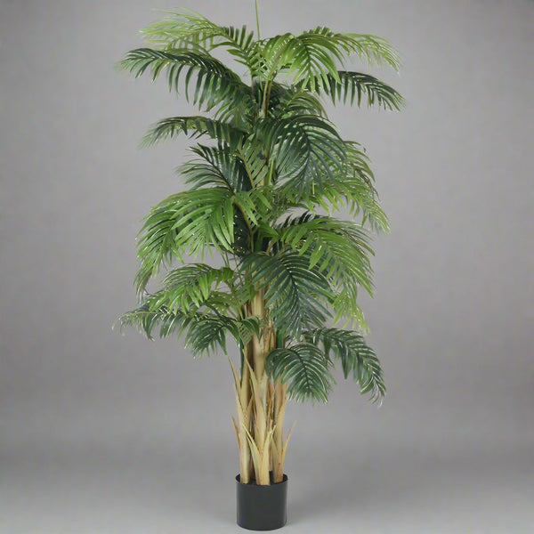 Buy Faux Realtouch Areca Palm Plant With Pot - 5.9 Feet Artificial Plants from Vaaree