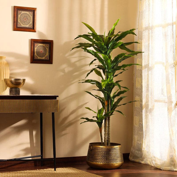 Buy Faux Realistic Dracaena Plant With Pot - 5.6 Feet Artificial Plants from Vaaree