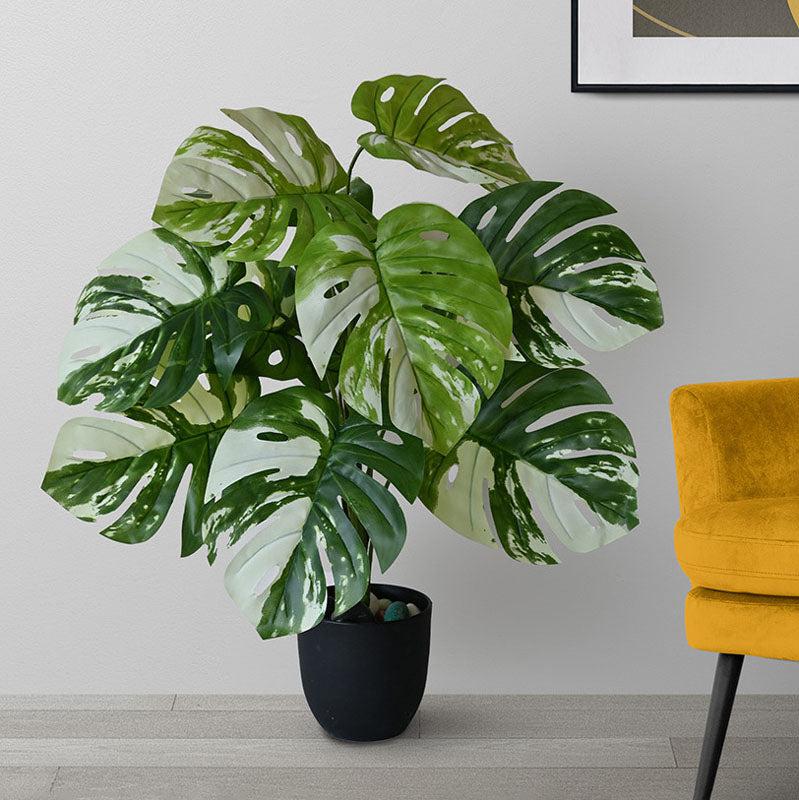 Buy Faux Everlasting Monstera Deliciosa Faux Everlasting Plant With Pot - 2.6 Feet Artificial Plants from Vaaree