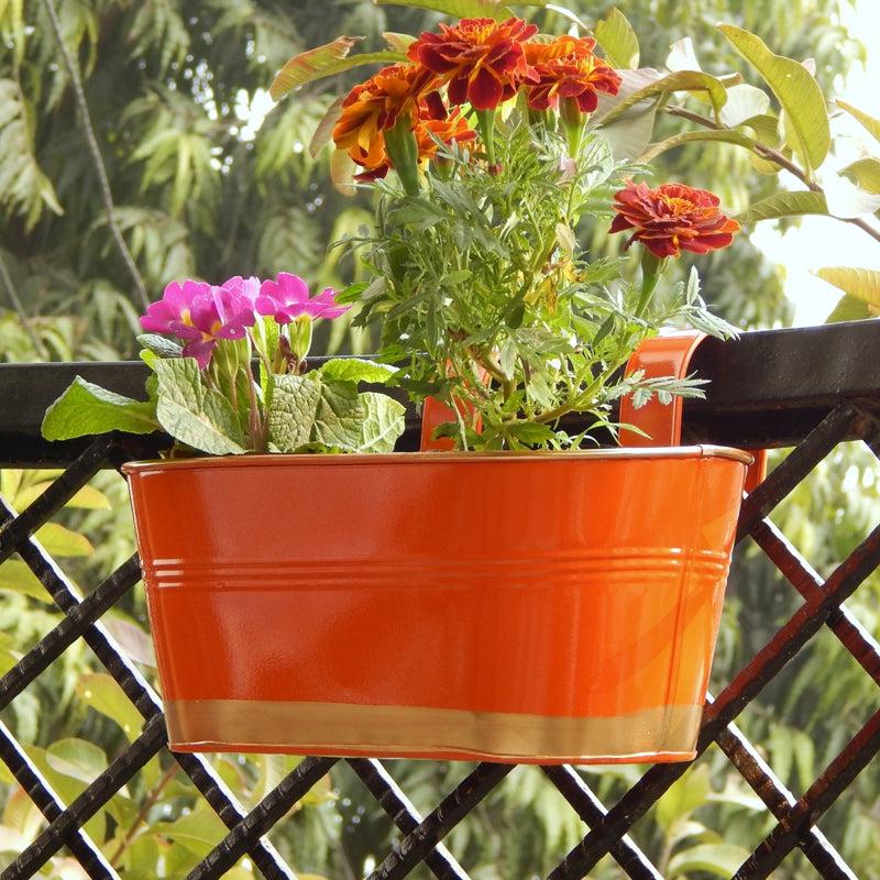 Buy Norva Hanging Planter (Orange) - Set Of Three Pots & Planters from Vaaree