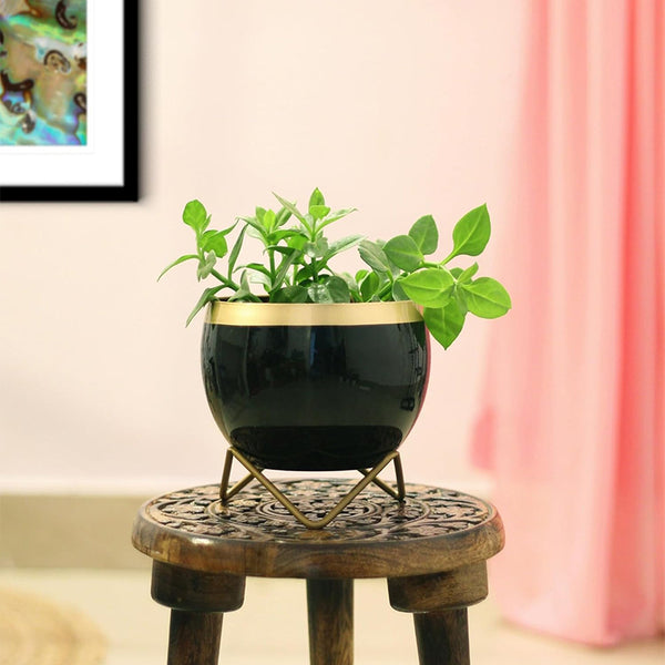 Buy Brita Planter With Stand - Black Pots & Planters from Vaaree