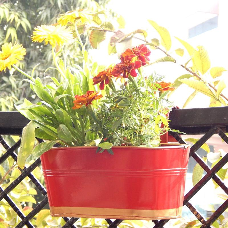 Buy Norva Hanging Planter (Red) - Set Of Three Pots & Planters from Vaaree