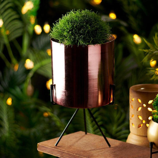 Buy Vikaan Metal Planter (Rose Gold) - Set Of Two Planter Stand from Vaaree