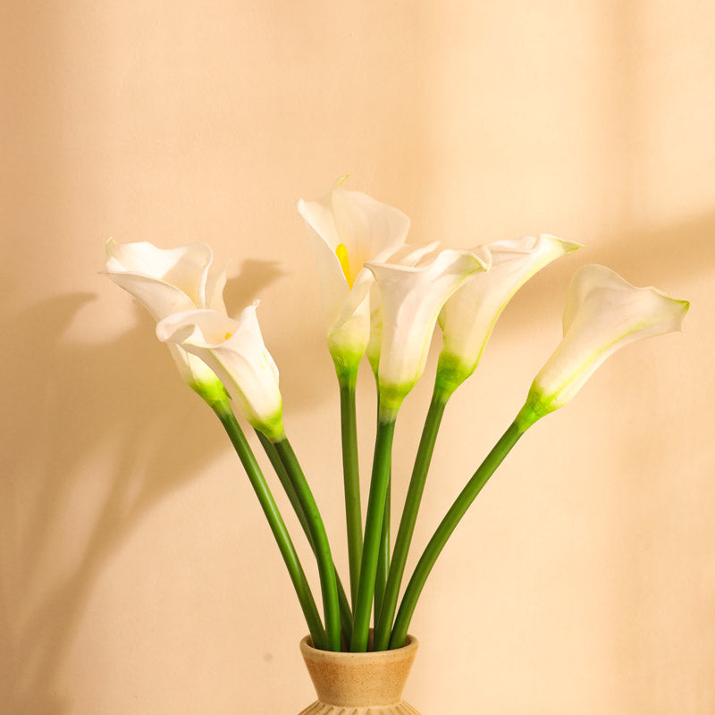 Buy Faux Realistic Calla Lily Flower Stick (White) - Set Of Five Artificial Flowers from Vaaree