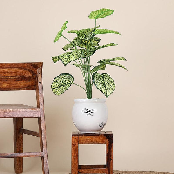 Buy Faux Botanic White Caladium Plant - 2 Feet Artificial Plants from Vaaree