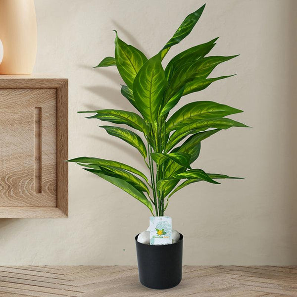 Buy Faux Everlasting Dieffenbachia Amoena Plant With Pot - 2.4 Feet Artificial Plants from Vaaree