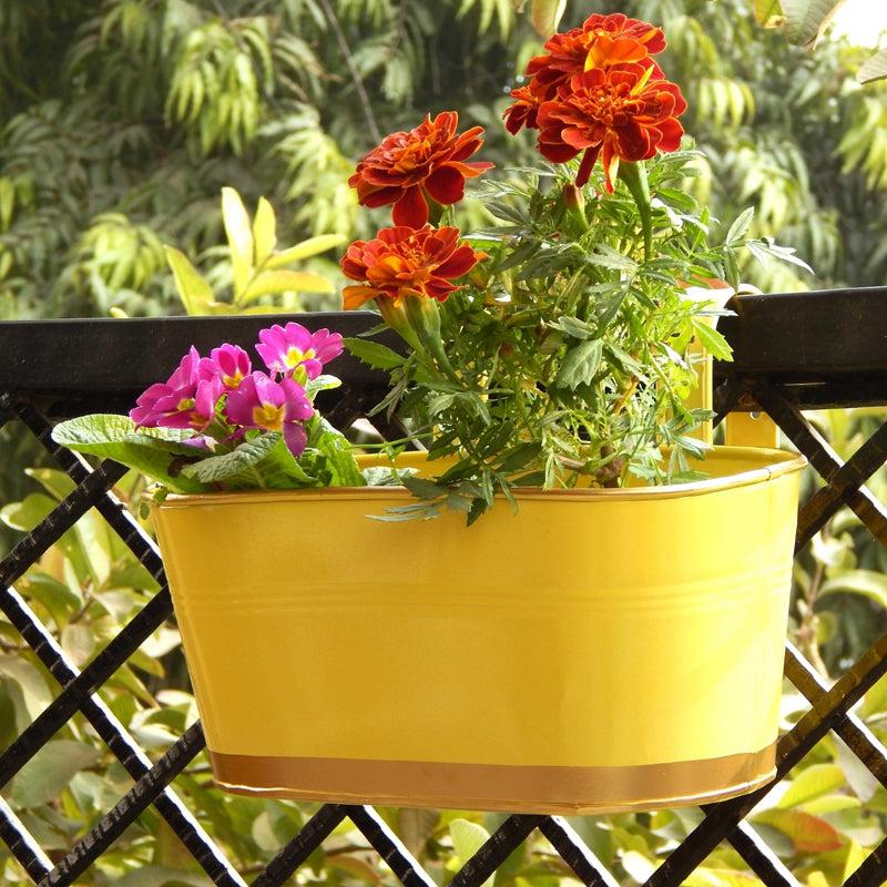 Buy Norva Hanging Planter (Yellow) - Set Of Three Pots & Planters from Vaaree