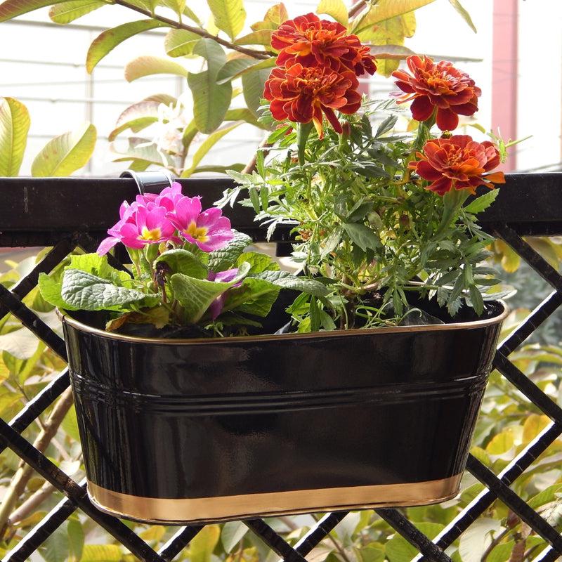 Buy Norva Hanging Planter (Black) - Set Of Three Pots & Planters from Vaaree