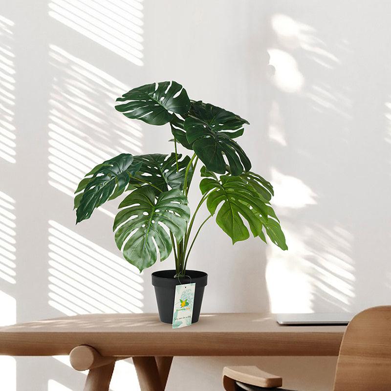 Buy Faux Everlasting Monstera Plant With Pot - 58 Cms Artificial Plants from Vaaree