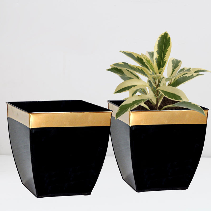 Buy Yula Goldo Planter (Black) - Set Of Two Pots & Planters from Vaaree