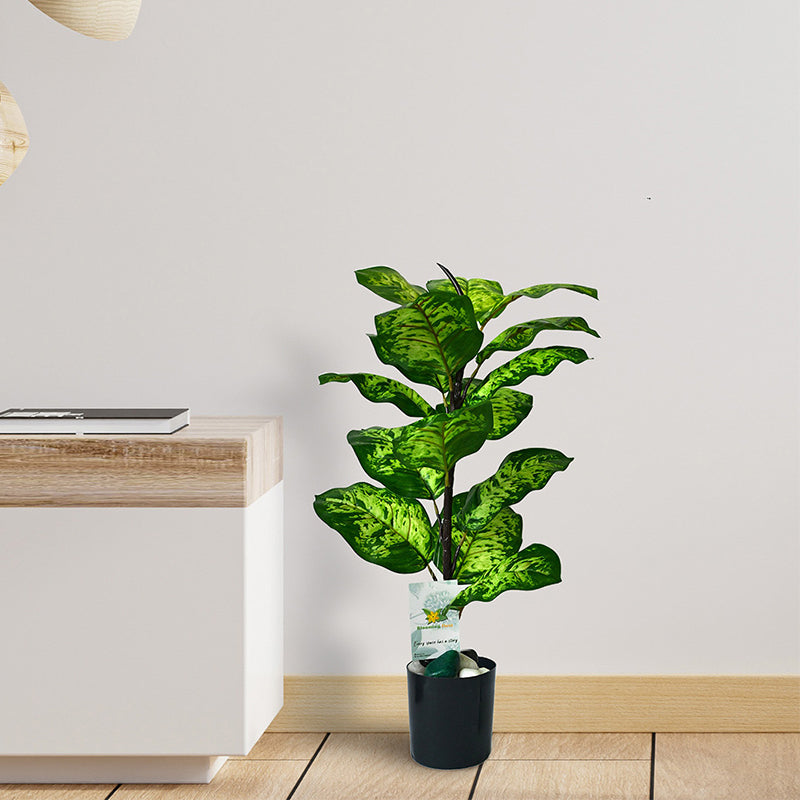 Buy Faux Everlasting Dieffenbachia Seguine Plant With Pot - 2.0 Feet Artificial Plants from Vaaree