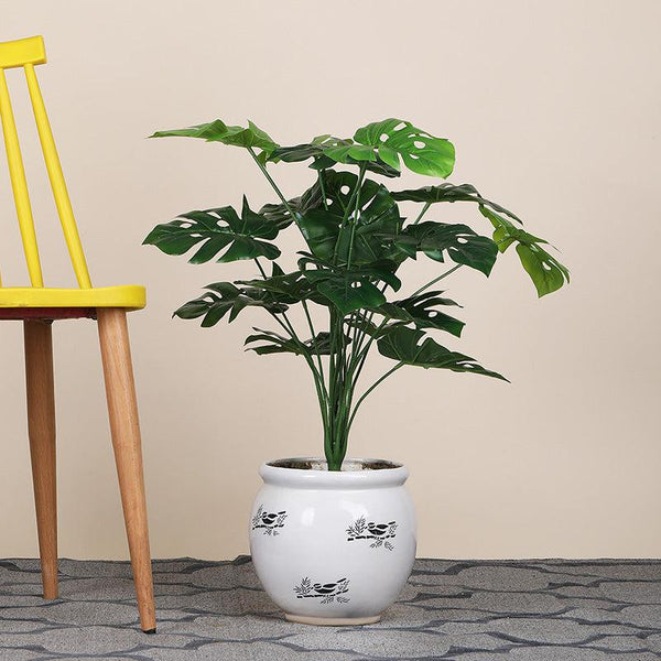 Buy Faux Botanic Monstera Plant - 2 Feet Artificial Plants from Vaaree