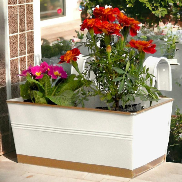 Buy Adro Planter - White Pots & Planters from Vaaree