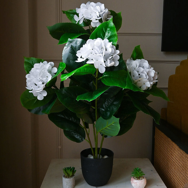 Buy Faux Everlasting Hydrangea Plant With Pot (White) - 2.5 Feet Artificial Plants from Vaaree