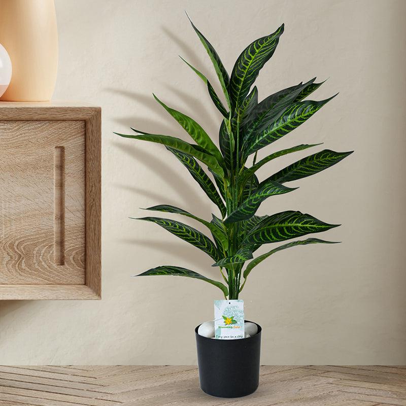 Buy Faux Everlasting Green Iceton Croton Plant With Pot - 2.4 Feet Artificial Plants from Vaaree