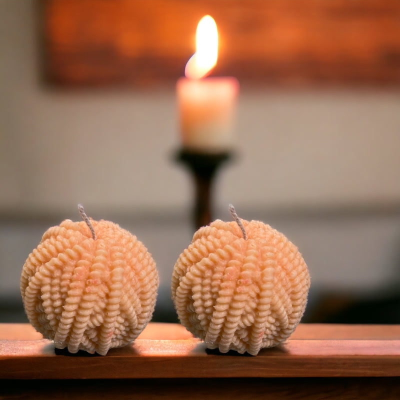 Buy Fur Ball Orange Scented Candle - Set Of Two Candles from Vaaree