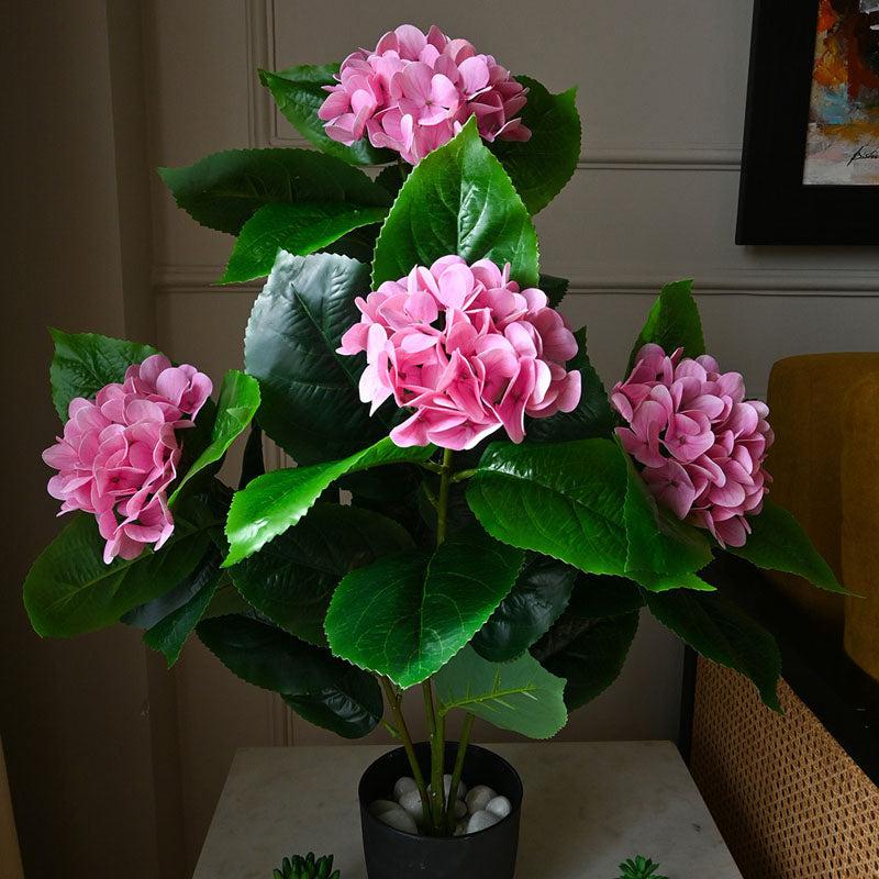 Buy Faux Everlasting Hydrangea Plant With Pot (Light Pink) - 2.5 Feet Artificial Plants from Vaaree