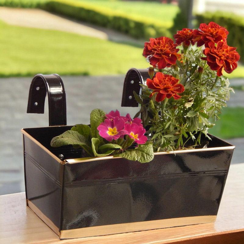 Buy Adro Planter (Black) - Set Of Three Pots & Planters from Vaaree