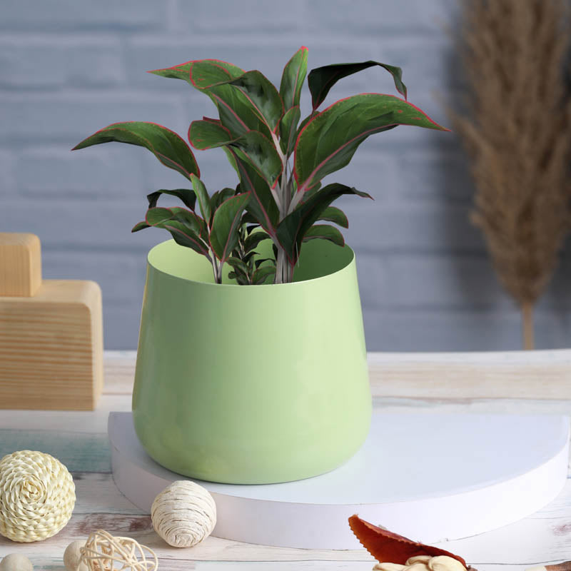 Buy Melva Handcrafted Planter - Green Pots & Planters from Vaaree