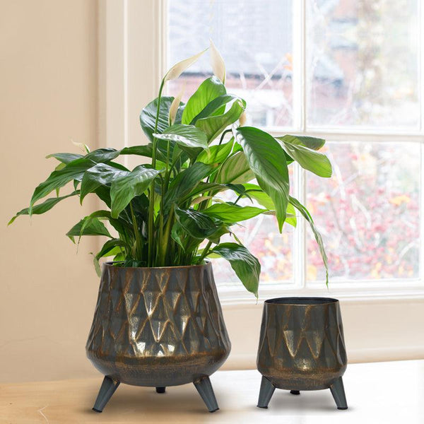 Buy Cosma Metal Planter (Grey) - Set Of Two Pots & Planters from Vaaree