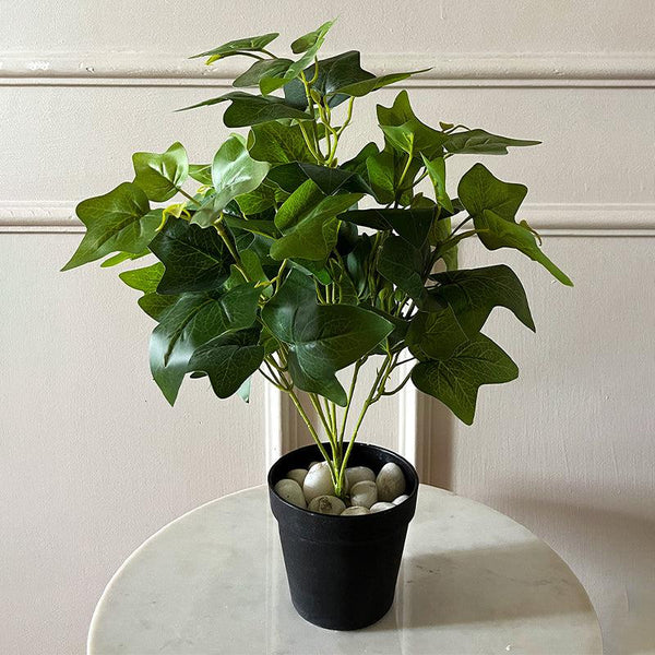 Buy Faux Everlasting Japanese Ivy Plant With Pot - 48 Cms Artificial Plants from Vaaree