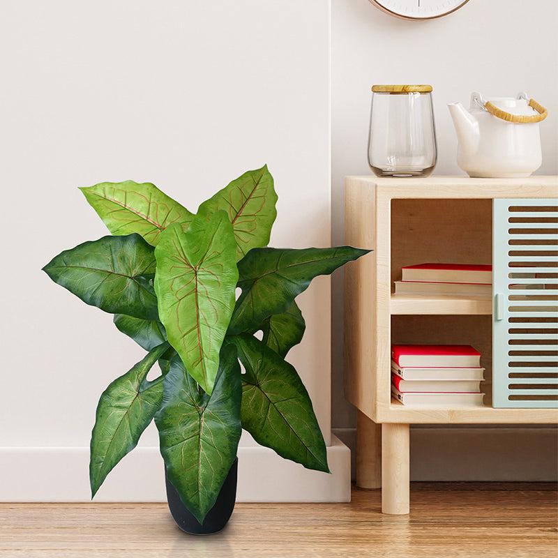 Buy Faux Everlasting Muffet Caladium Plant With Pot - 2.6 Feet Artificial Plants from Vaaree