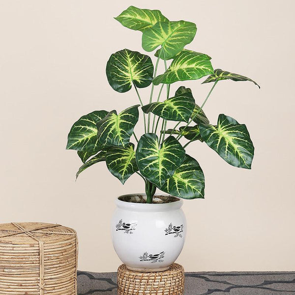 Buy Faux Botanic Light Green Money Plant - 2 Feet Artificial Plants from Vaaree