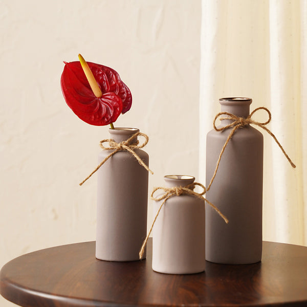 Buy Alnira Bottle Vase (Grey) - Set Of Three Vase from Vaaree