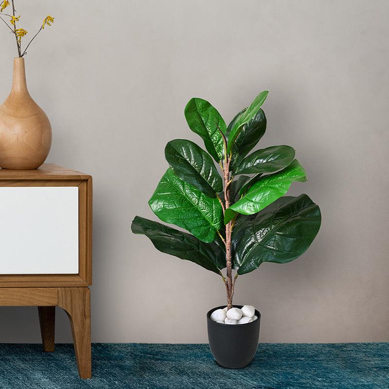 Buy Faux Everlasting Fiddle-Leaf Fig Plant With Pot - 58 Cms Artificial Plants from Vaaree