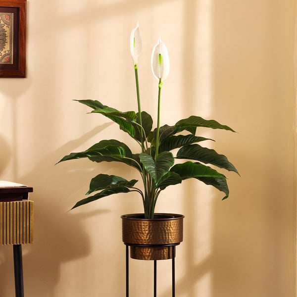 Buy Faux Realistic Peace Lily Plant With Pot - 2.5 Feet Artificial Plants from Vaaree