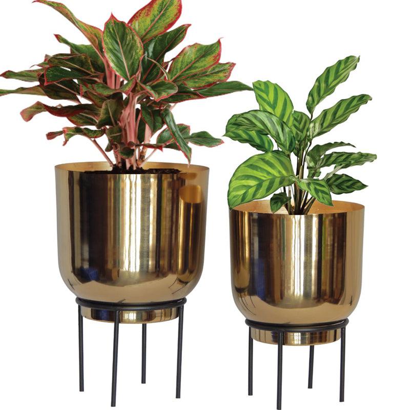 Buy Mazor Metal Planter (Gold) - Set Of Two Pots & Planters from Vaaree