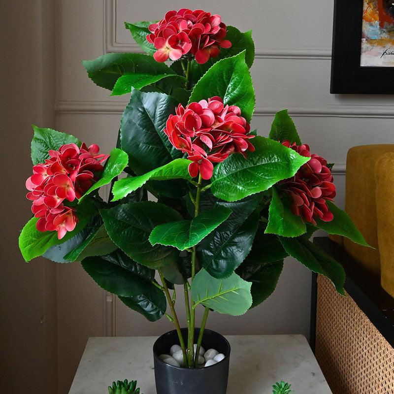 Buy Faux Everlasting Hydrangea Plant With Pot (Red) - 2.5 Feet Artificial Plants from Vaaree