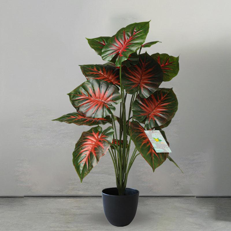 Buy Faux Everlasting Calathea Orbifolia Plant With Pot - 2.5 Feet Artificial Plants from Vaaree