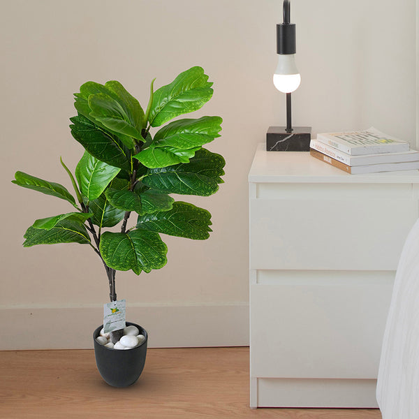 Buy Faux Everlasting Fiddle Leaf Fig Plant With Pot - 2.4 Feet Artificial Plants from Vaaree