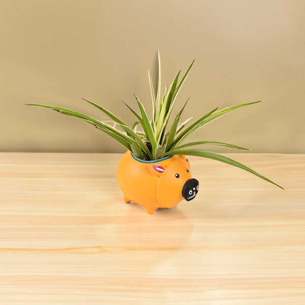 Buy Piggy Pot Planter Pots & Planters from Vaaree