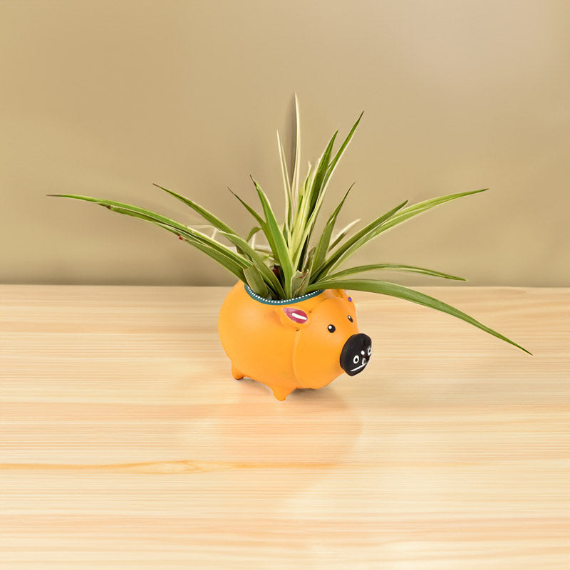 Buy Piggy Pot Planter Pots & Planters from Vaaree