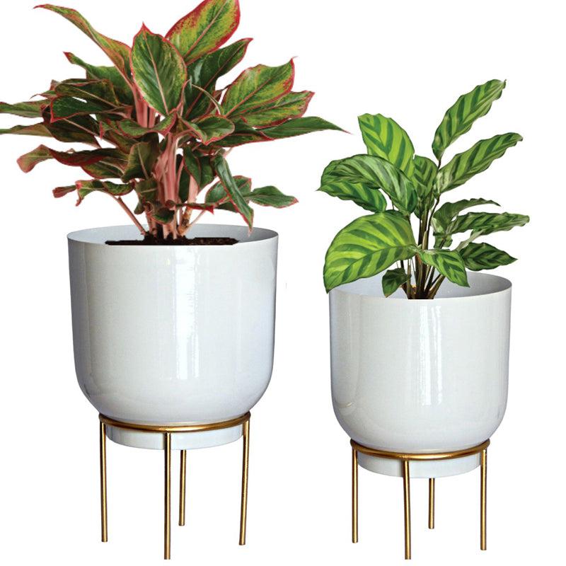 Buy Mazor Metal Planter (White & Gold) - Set Of Two Pots & Planters from Vaaree