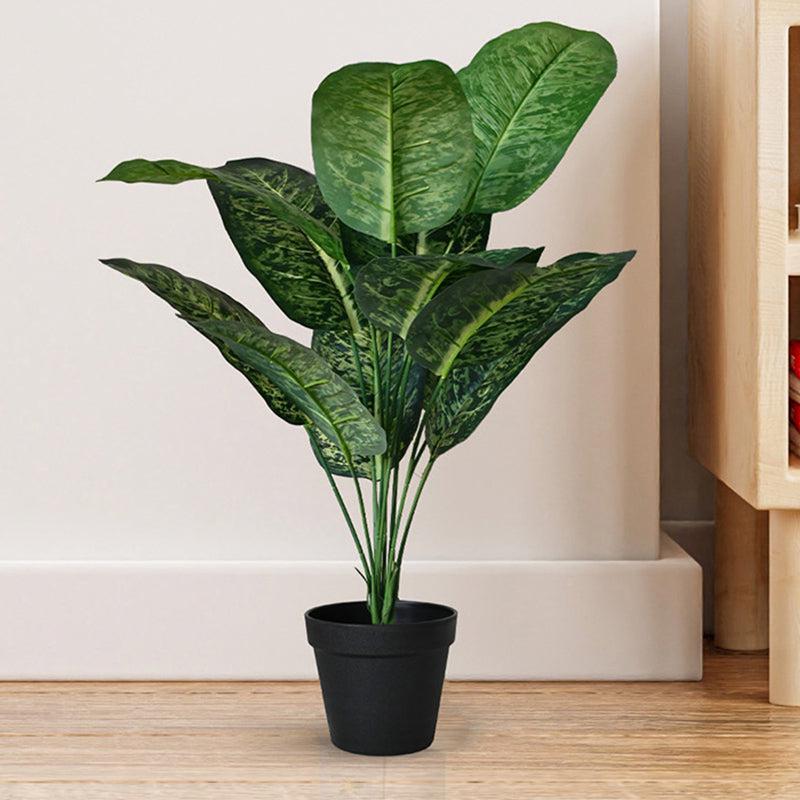 Buy Faux Everlasting Dieffenbachia Plant With Pot - 2.1 Feet Artificial Plants from Vaaree